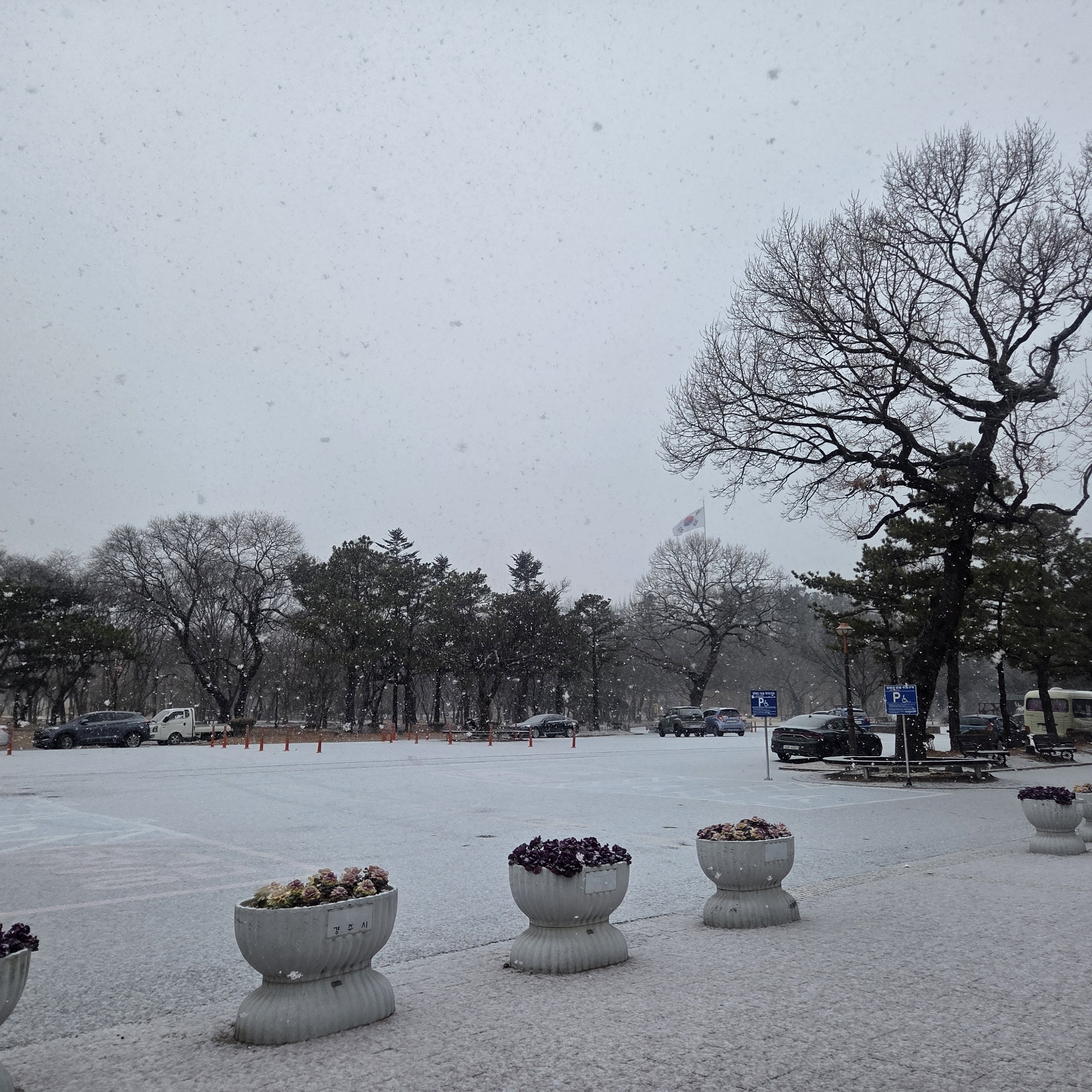 [잡담] 경주 눈온다 | 인스티즈