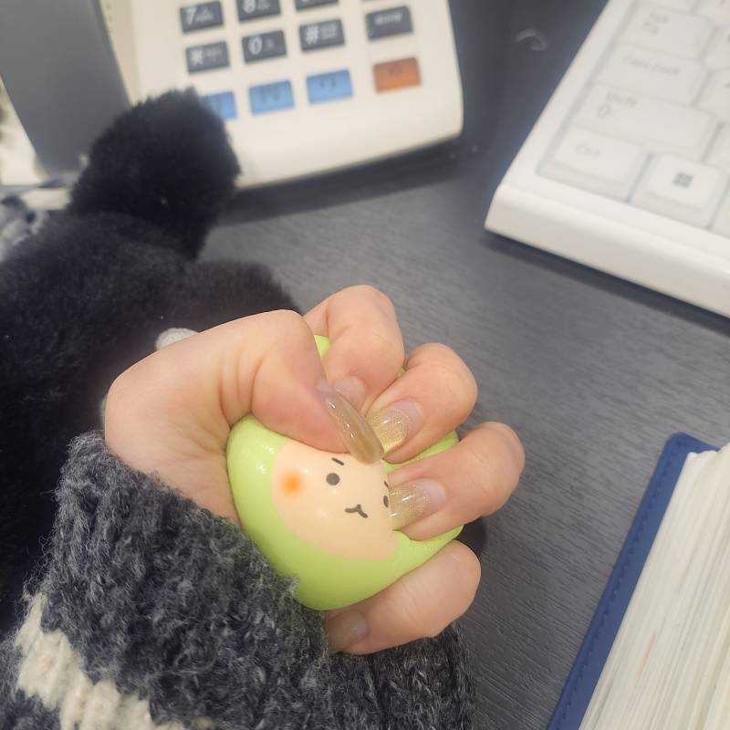 [잡담] 망곰이 스트레스볼 데리고 출근완 | 인스티즈