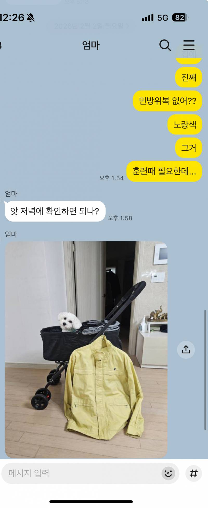 [잡담] ㅎ.. 엄마 은근슬쩍 강아지 자랑하는거봐 | 인스티즈
