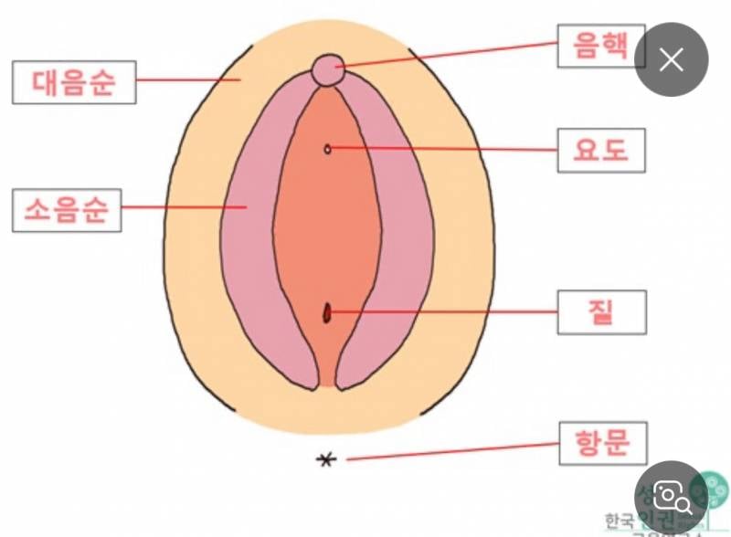 [잡담] 질염때문에 질외부가 빨개지고 가려울 수도 있지? | 인스티즈