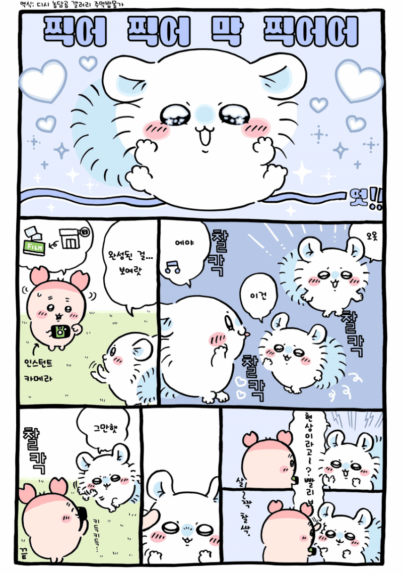 [잡담] 사진을 찍는 카니와 모몽가 [최신화] | 인스티즈