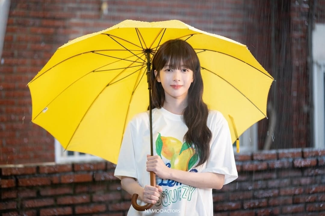 [잡담] 우주를줄게) 노정의 소속사 인별 노란우산 찰떡 | 인스티즈