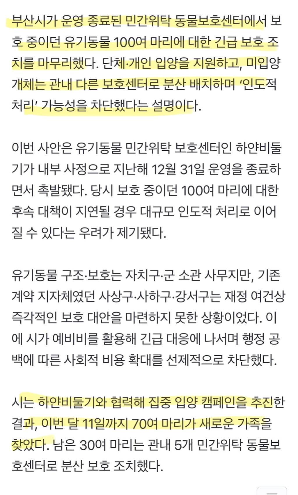 '안락사 위기' 유기동물 100마리…부산시, 전원 구조 (반전주의) 부산 보호소 하얀비둘기 | 인스티즈