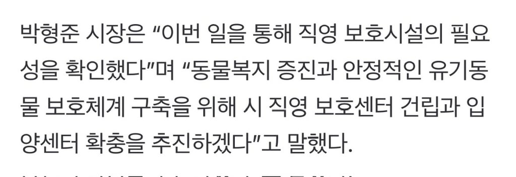 '안락사 위기' 유기동물 100마리…부산시, 전원 구조 (반전주의) 부산 보호소 하얀비둘기 | 인스티즈