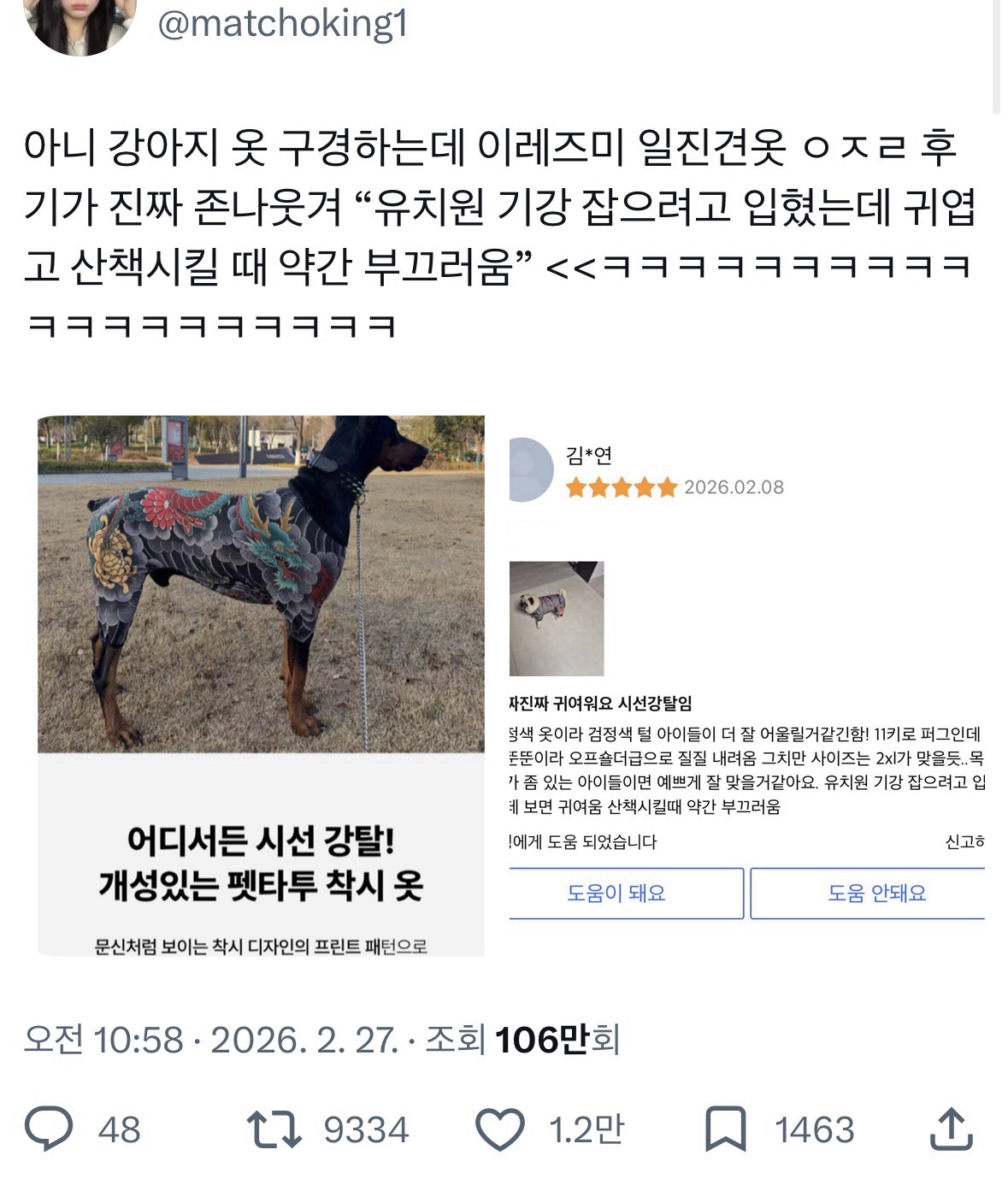 이레즈미 일진견옷 | 인스티즈