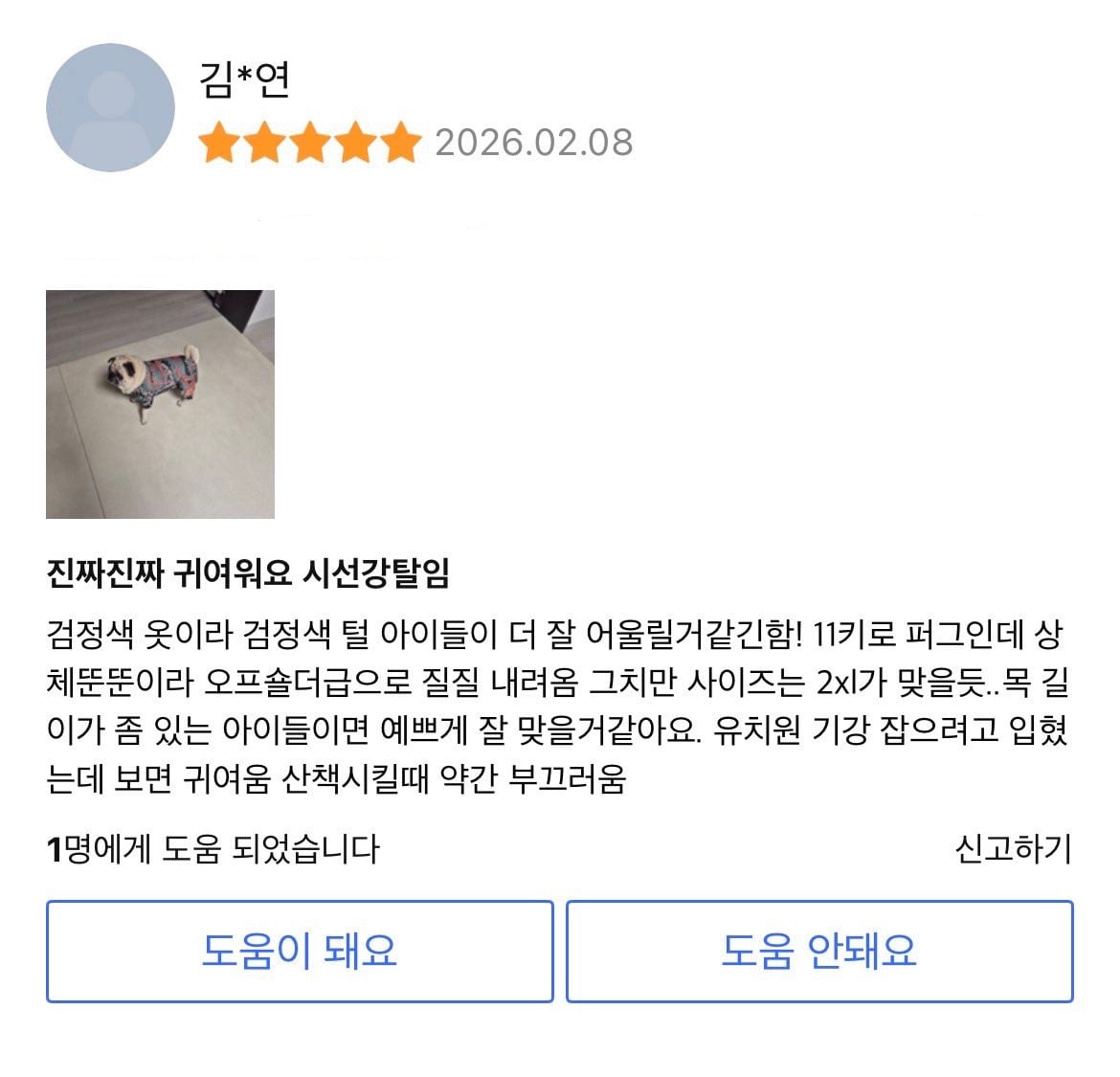 이레즈미 일진견옷 | 인스티즈