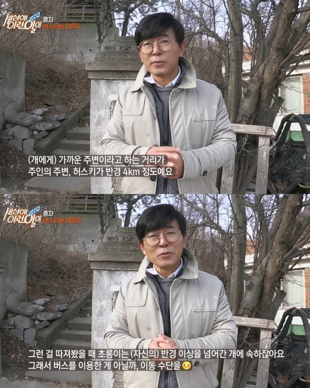무임승차하는 댕댕이 | 인스티즈
