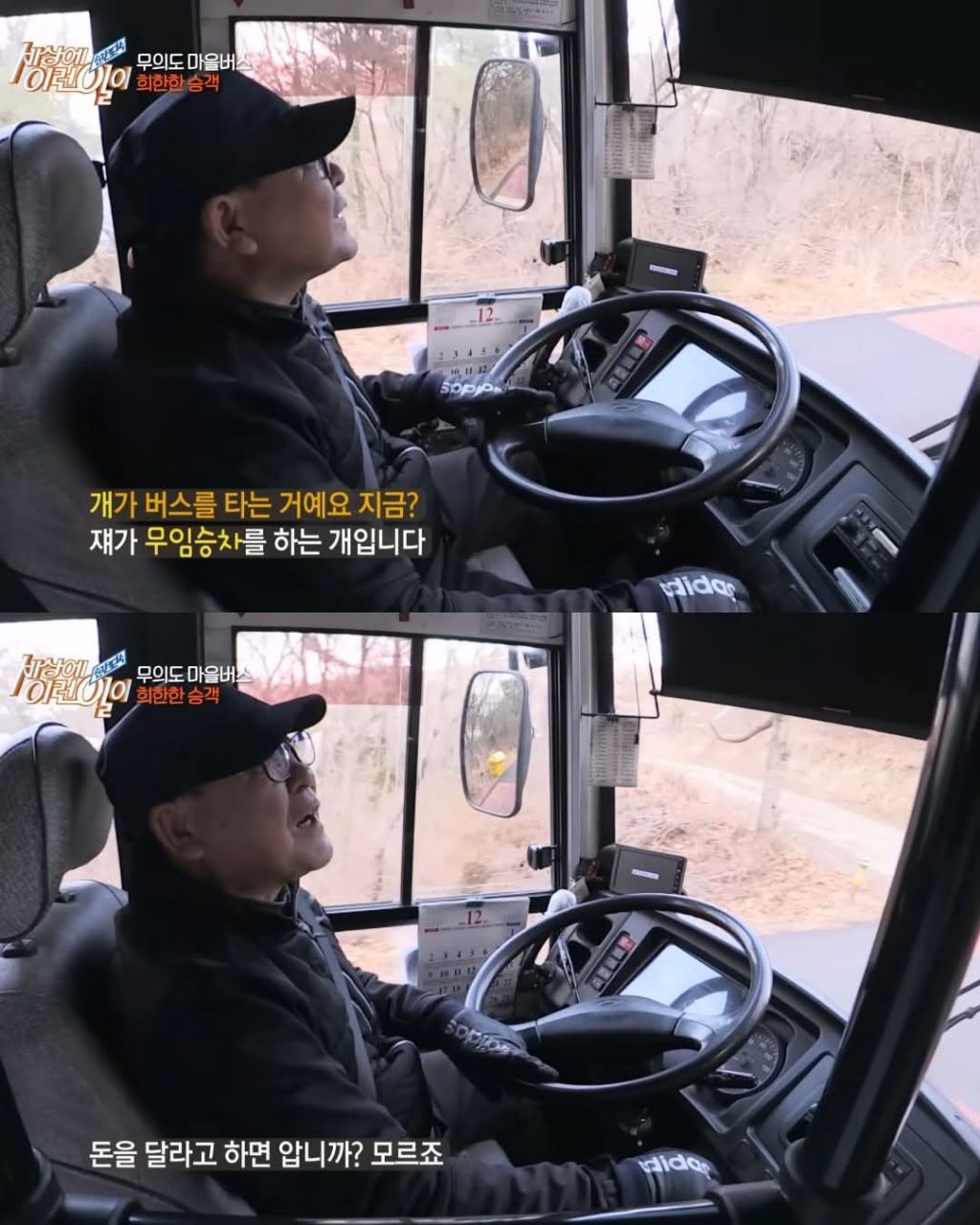 무임승차하는 댕댕이 | 인스티즈