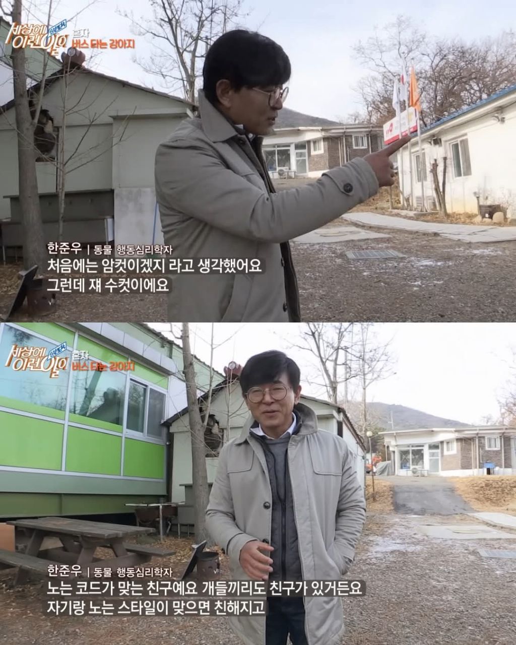 무임승차하는 댕댕이 | 인스티즈