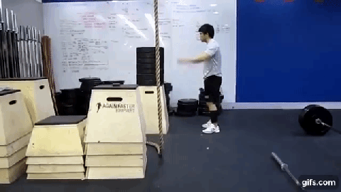 디시 헬스갤 일반인 최강자 ㄷㄷㄷ. gif | 인스티즈