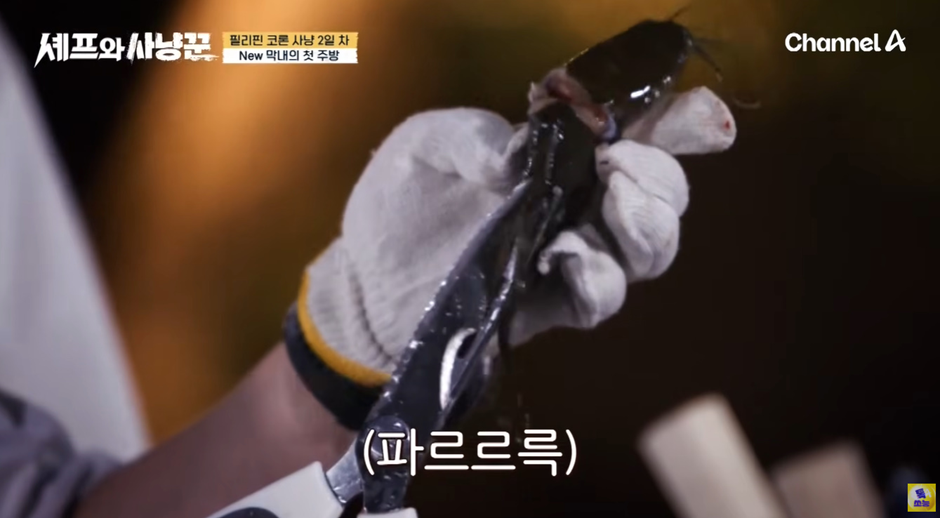 생선 손질하다가 기겁 했다는 빠니보틀…jpg | 인스티즈