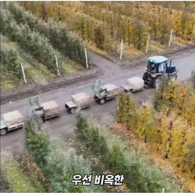 미국 사과가 1Kg 에 2000원대인 이유 | 인스티즈