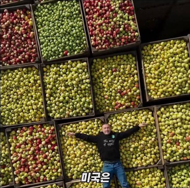 미국 사과가 1Kg 에 2000원대인 이유 | 인스티즈