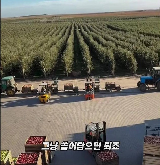미국 사과가 1Kg 에 2000원대인 이유 | 인스티즈