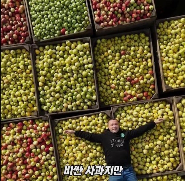 미국 사과가 1Kg 에 2000원대인 이유 | 인스티즈