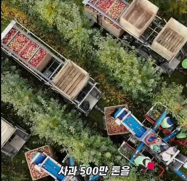 미국 사과가 1Kg 에 2000원대인 이유 | 인스티즈