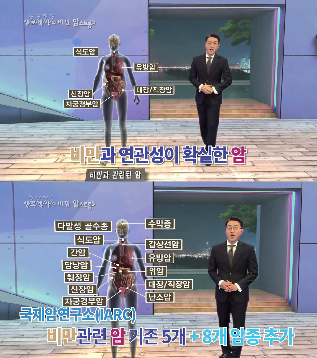 비만이 몸에 해롭고 암까지 유발하는 이유.jpg | 인스티즈