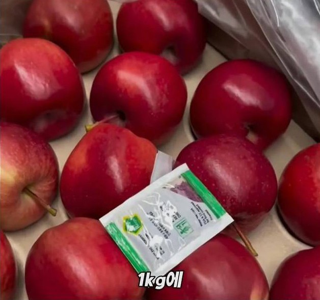 미국 사과가 1Kg 에 2000원대인 이유 | 인스티즈