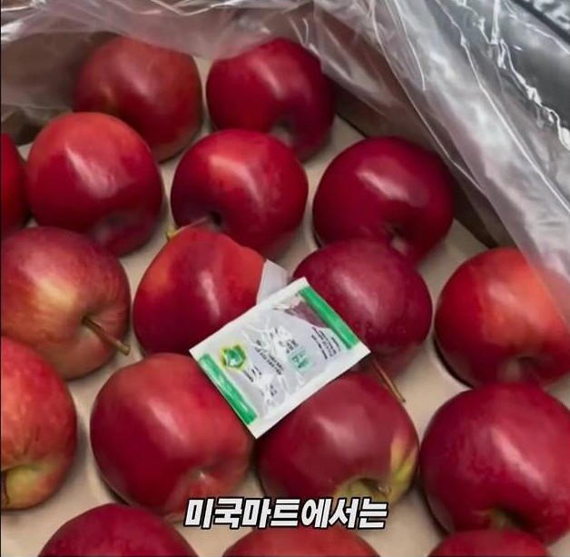 미국 사과가 1Kg 에 2000원대인 이유 | 인스티즈
