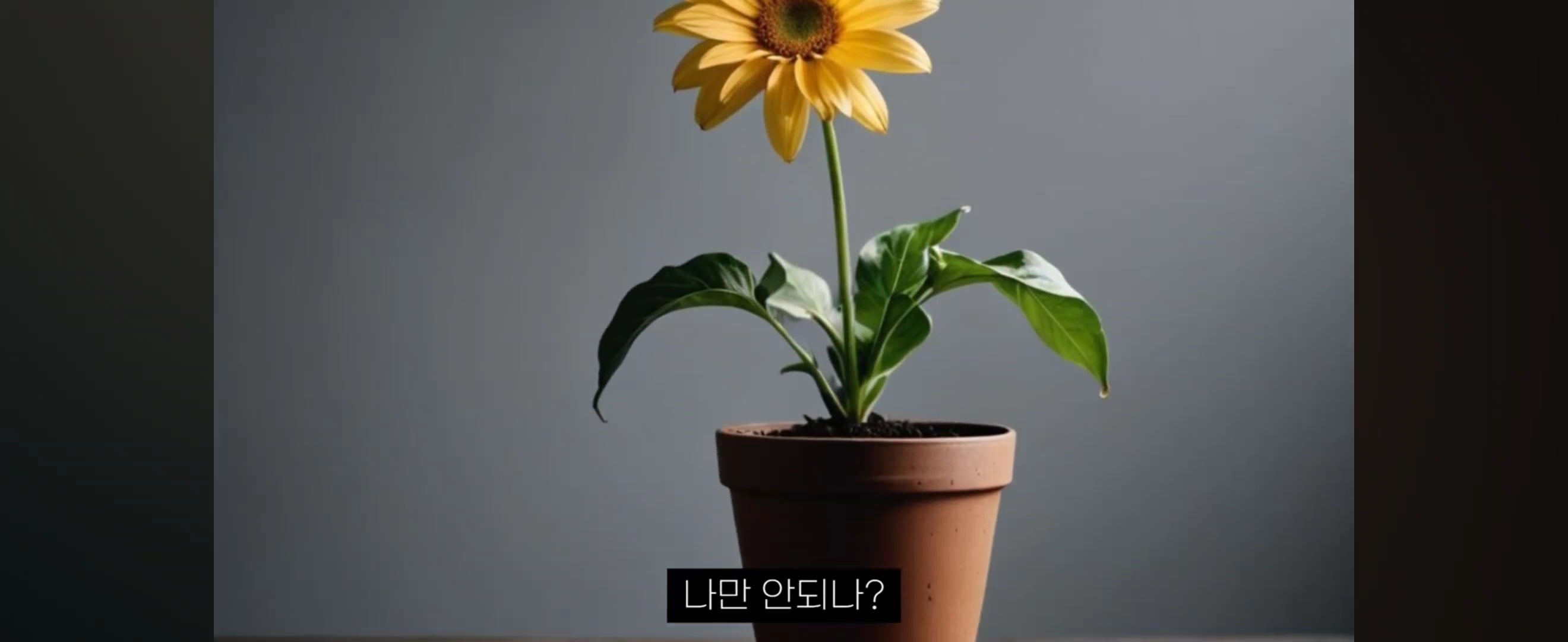 시크릿/끌어당김을 알게된 후 사람들이 빠지는 5단계 | 인스티즈