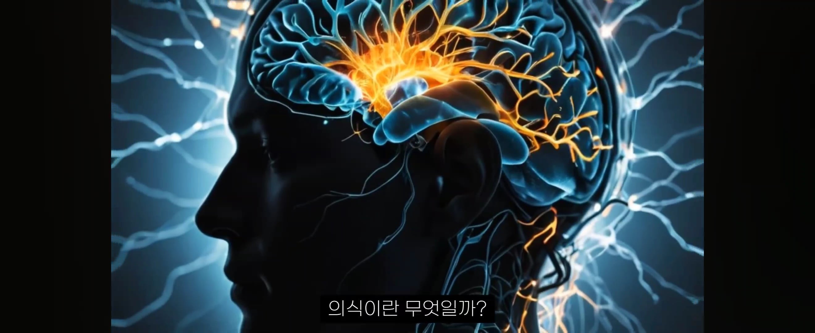 시크릿/끌어당김을 알게된 후 사람들이 빠지는 5단계 | 인스티즈