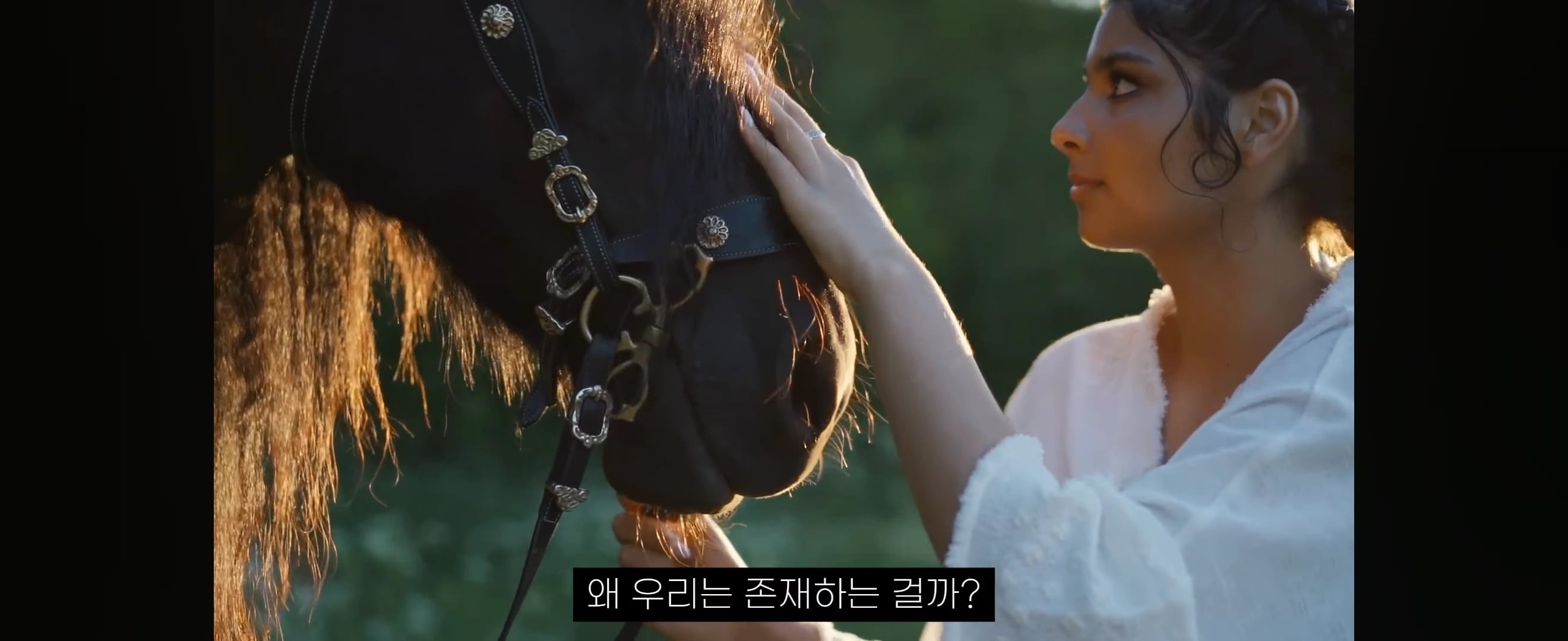 시크릿/끌어당김을 알게된 후 사람들이 빠지는 5단계 | 인스티즈