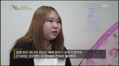  애견샵에서 입양한 강아지 배에 적힌 숫자는 무슨 의미인가요?.jpg | 인스티즈