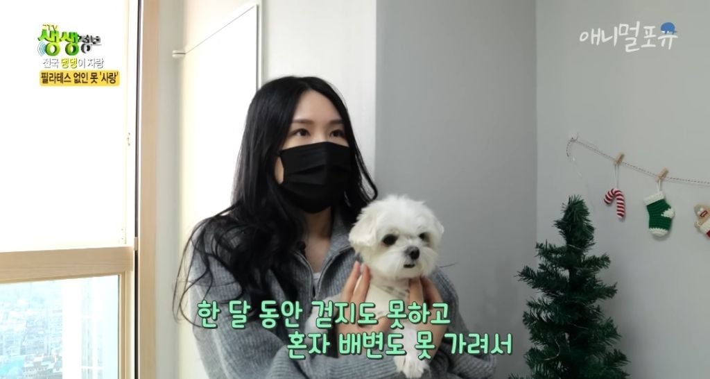 필라테스 하는 강아지 | 인스티즈