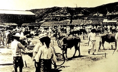 1950년대 수원의 모습 | 인스티즈