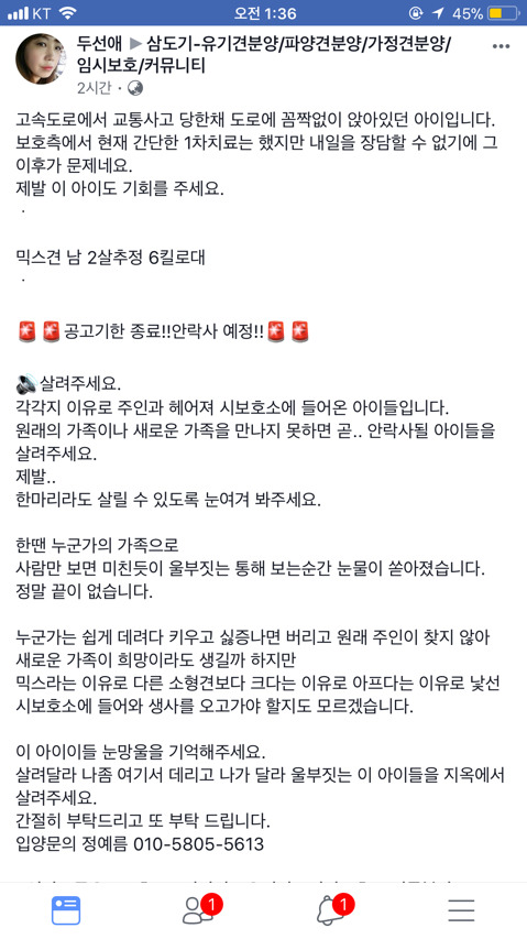 낼 안락사인데 문의한통 없대ㅠㅠㅠ 아직 살날이 훨씬 많은 아가들 제발 보구가줘!!.. | 인스티즈