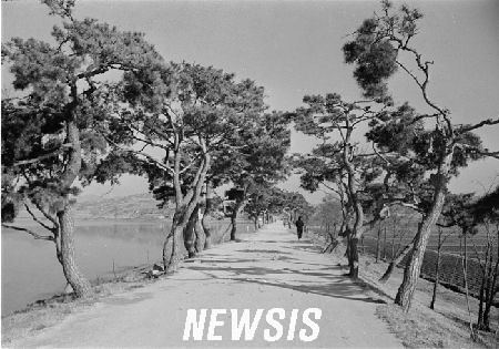 1950년대 수원의 모습 | 인스티즈