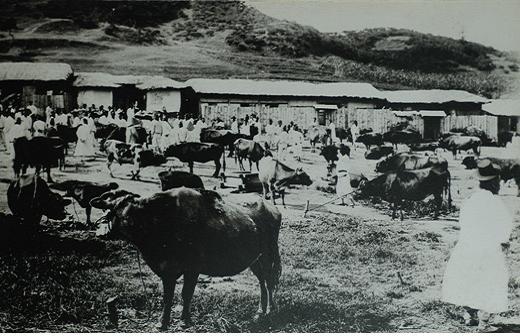 1950년대 수원의 모습 | 인스티즈