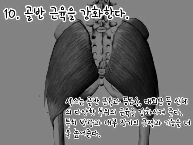 섹스를 매일해야하는 16가지 이유 | 인스티즈
