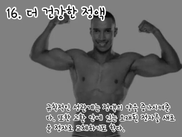 섹스를 매일해야하는 16가지 이유 | 인스티즈
