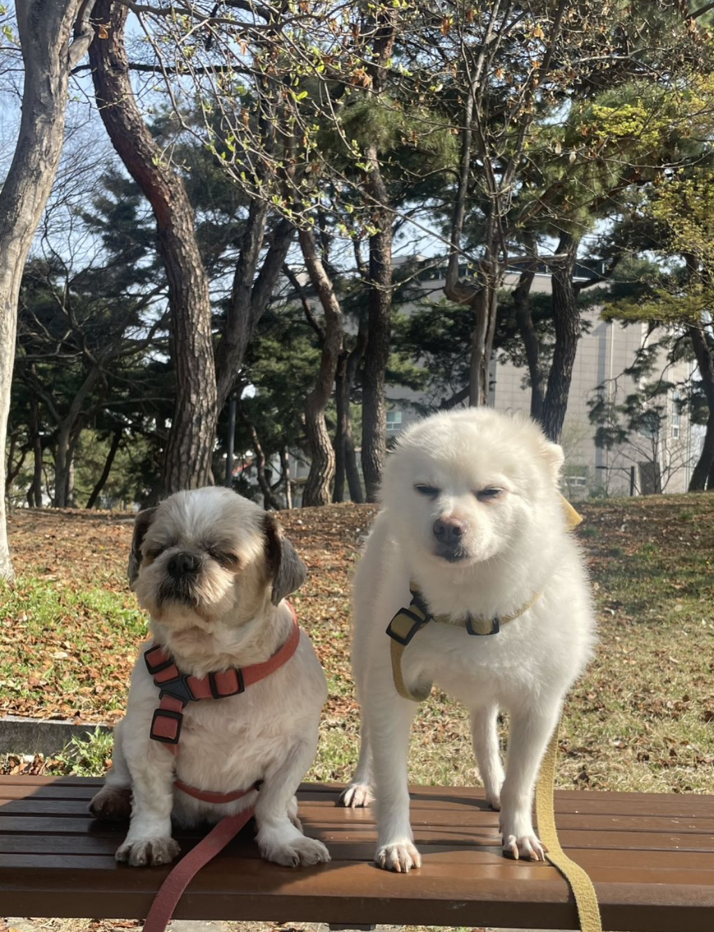 X댐! 이런 것까지 캡쳐하지 말라고! | 인스티즈