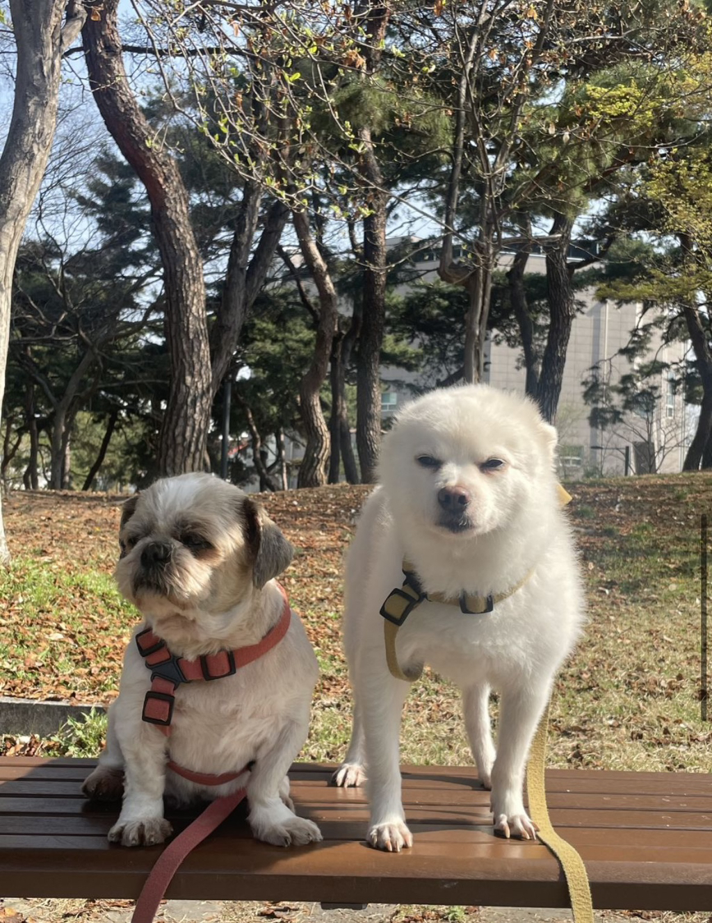 X댐! 이런 것까지 캡쳐하지 말라고! | 인스티즈