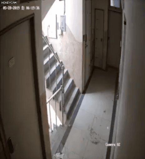 혼자사는 여성을 노리는 소름돋는 주거침입 cctv들 .gif | 인스티즈
