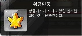 옛날 메이플스토리 추억의 희귀템들 - 1 | 인스티즈