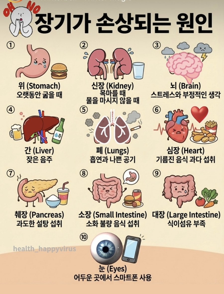 장기가 손상되는 원인 | 인스티즈