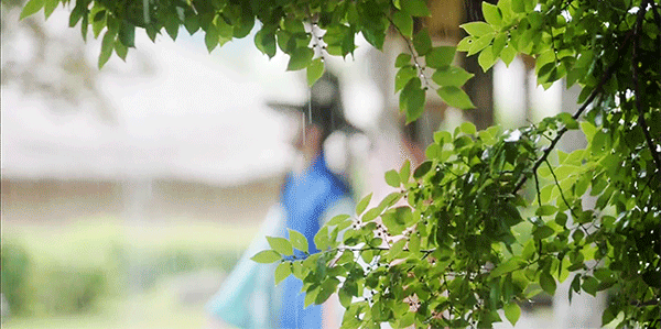 우리나라 사극 드라마 연출 분위기.gif | 인스티즈