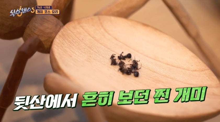 흑백요리사 조셉 세프가 운영하는 파인다이닝 개미 아이스크림 | 인스티즈