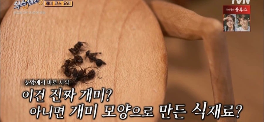흑백요리사 조셉 세프가 운영하는 파인다이닝 개미 아이스크림 | 인스티즈