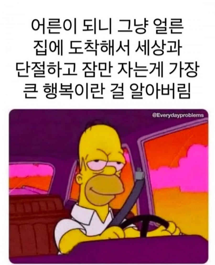 잠이 최고가 되버린 어른 | 인스티즈