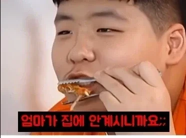 서로 진실만을 말하는 정지선 셰프와 아들 | 인스티즈