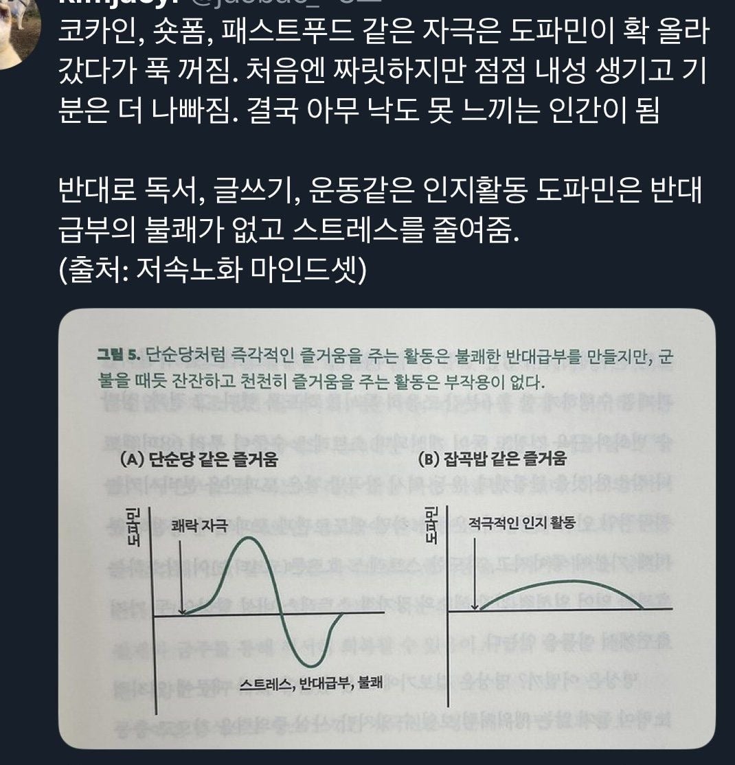 인생 꿀팁 다 풀었음 | 인스티즈