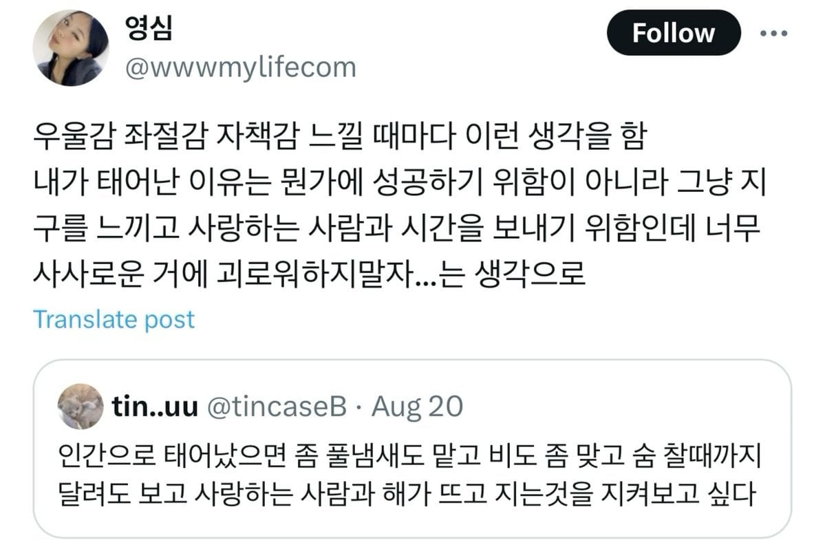 인생 꿀팁 다 풀었음 | 인스티즈