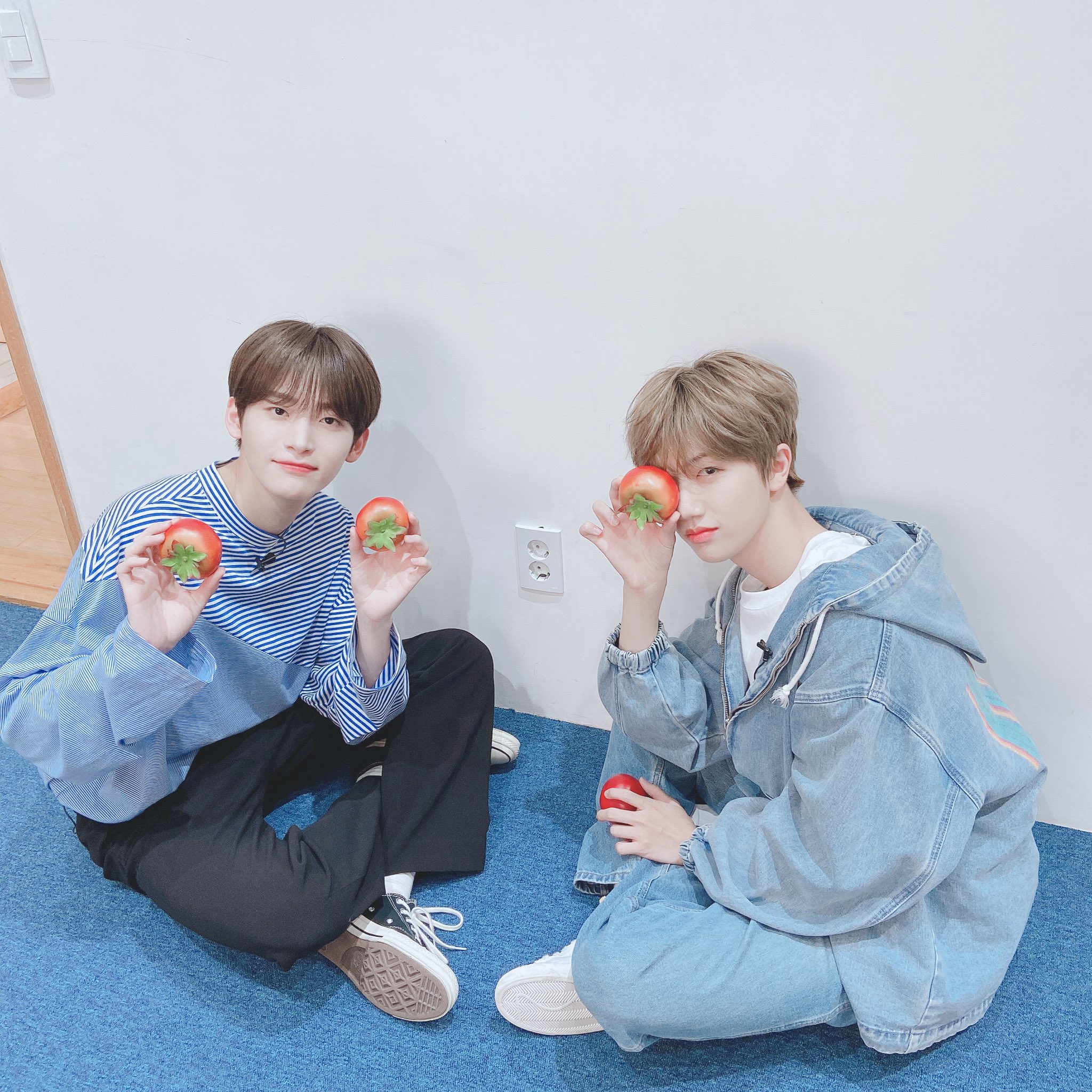 [잡담] 토마토즈 토마토 맨날 터짐 🍅🍅🍅 | 인스티즈
