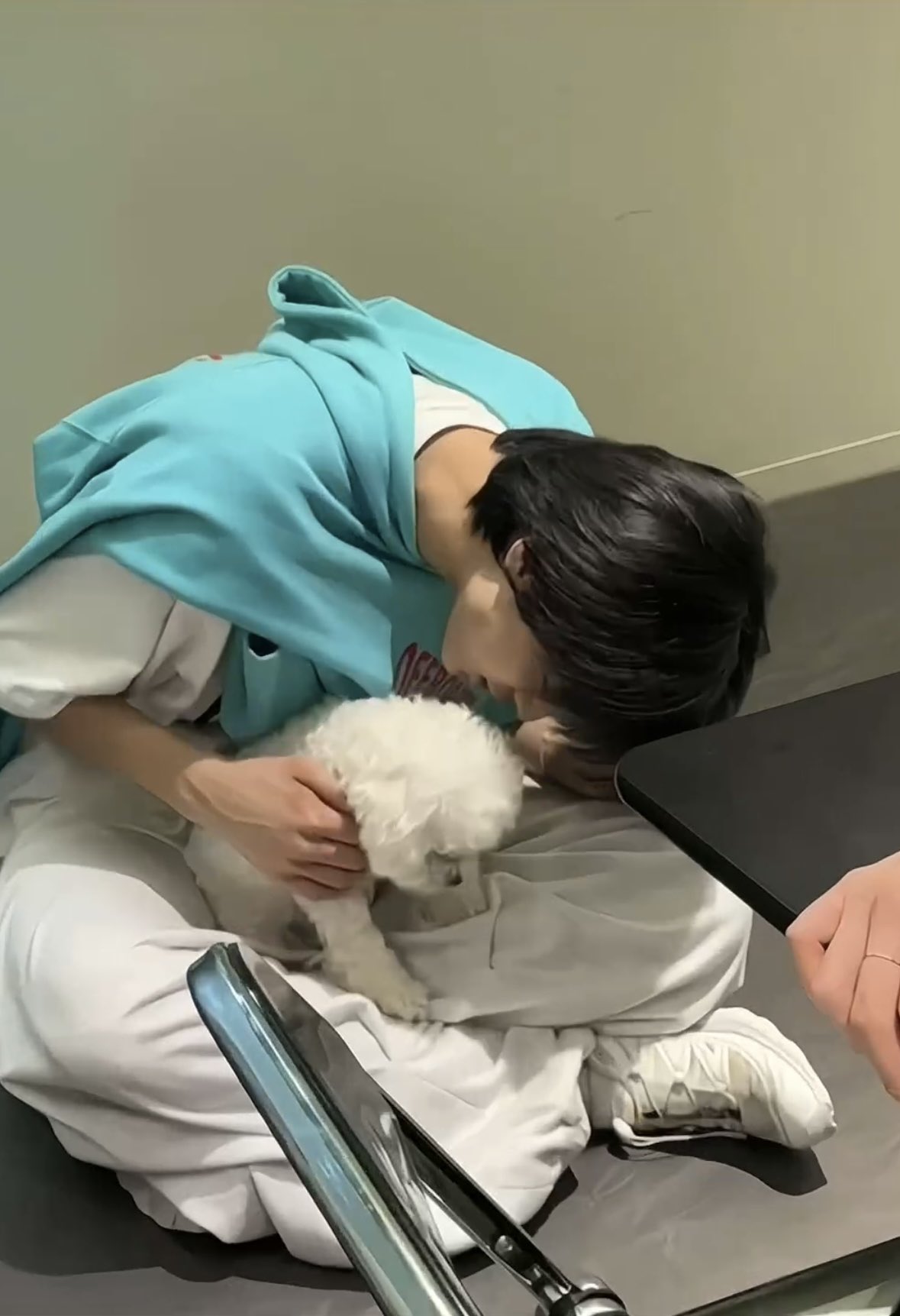 [잡담] 팬들도 헷갈리는 아이돌 사진이래 | 인스티즈