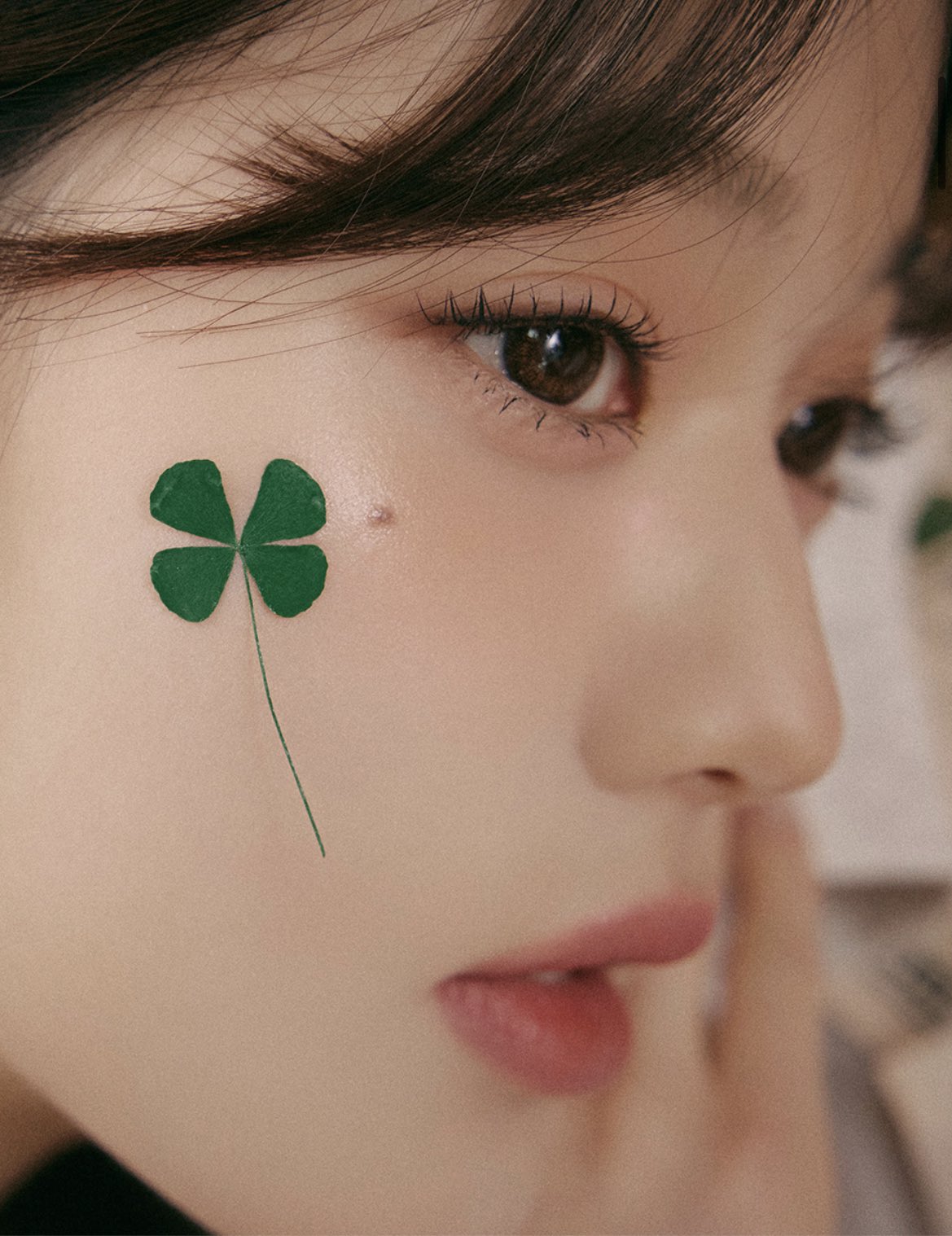 [잡담] 내기준 원영이 광고사진은 하파크리스틴이랑 로라로라가 넘사같애 | 인스티즈