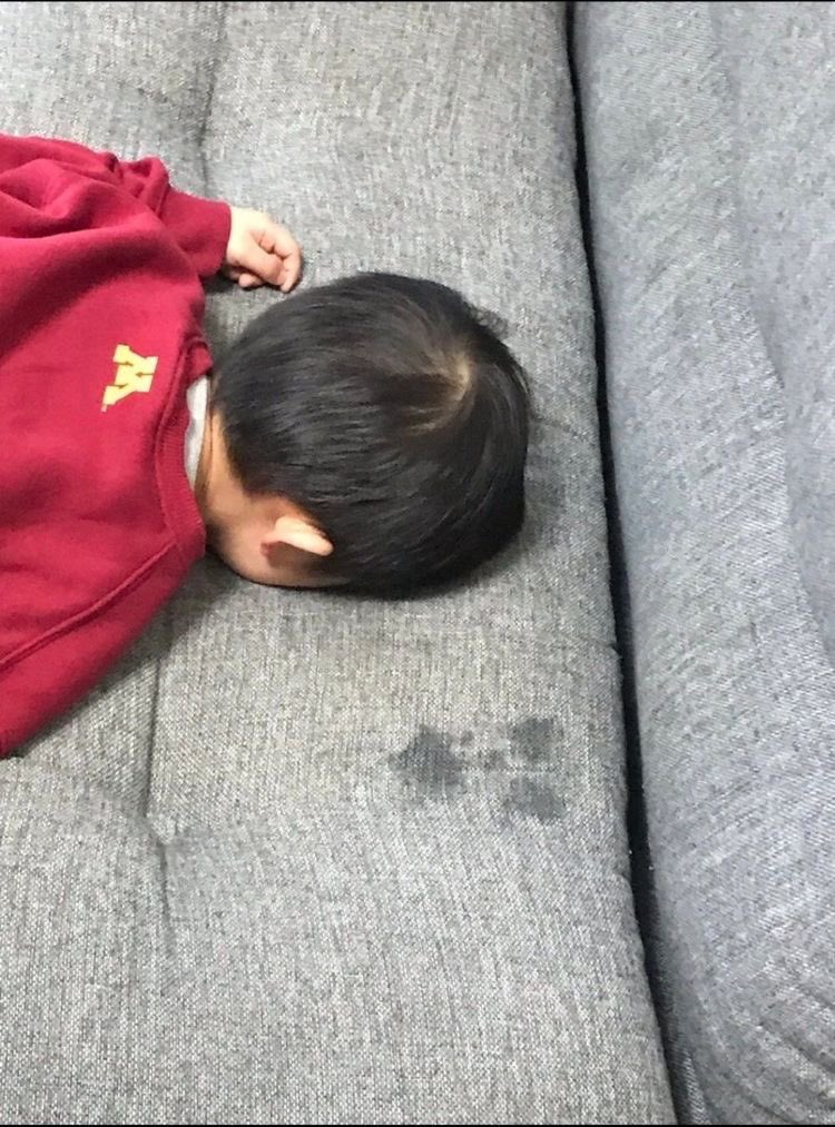[잡담] 코르티스 매일 밤 베이비타임 갖네ㅜㅜㅜ | 인스티즈